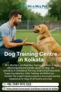 Expert Dog Training Centre in , Kolkata