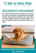 Dog Hostel in , Ahmedabad