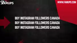Buy Instagram Followers Canada to Grow Your Local , Houston