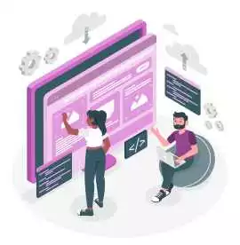 Why Choose Our Custom Web Development Company , Noida