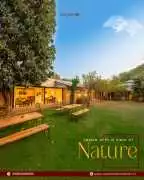 Hotels Near Ranthambore National Park