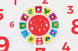 Numerology prediction - Numerologist report & , Ahmedabad