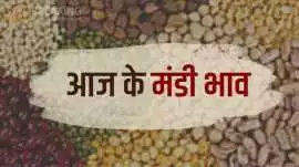 आदमपुर मंडी के आज के भाव, Hisar