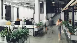 Get Noticed Online with a Website Designer Brisban, Brisbane
