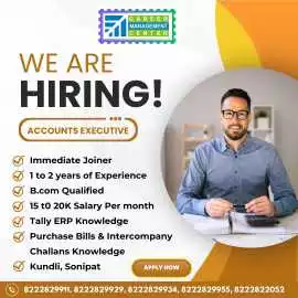 Accountant , Sonipat