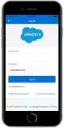 Guide to Salesforce Verify the Phone Service , Los Angeles