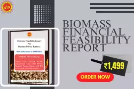 Financial Feasibility Report for Biomass Energy Pr