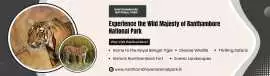 Ranthambhore National Park | Ranthambhorenationalp