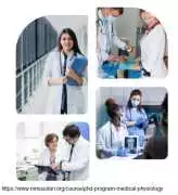 phd medical physiology in india, Solan