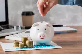 Looking for a Safe Investment Option?, Mohali