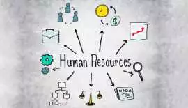 Efficient HR Management System for Small Business, New Delhi