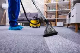 Emergency Carpet Cleaning Services in Croydon, Croydon