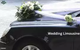 Wedding Limousine Hire in Essex, Southend-on-Sea
