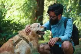 Safe, Intuitive Reiki Healing for Animals, New York