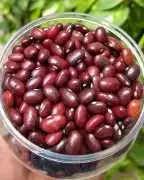 Buy Himalayan Rajma Online at Best Price , ₹ 180
