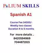 Best Spanish Language Classes by Excellent facult, Kolkata