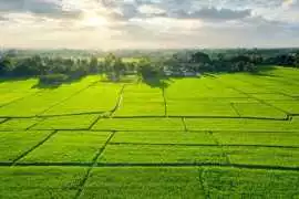 Build Boldly with SJR Vivo City Nelamangala Plots, Bengaluru