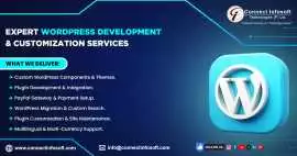 Upgrade Your Site with Expert WordPress Developers, California City