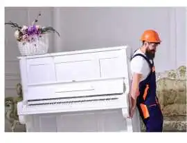 Expert Piano Removalist in Sydney, Sydney