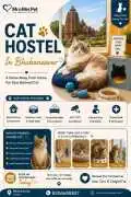 Cat Hostel, Bhubaneswar