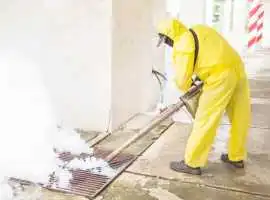 Emergency Pest Control in Edmonton Available 24/7 , Calgary