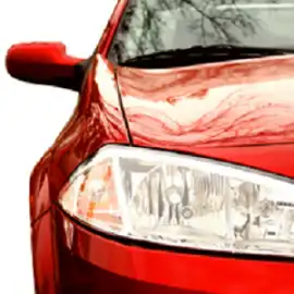 Extreme Tint & Polish, Santa Clara