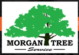 Refresh Your Landscape With Proper Tree Care, Oroville