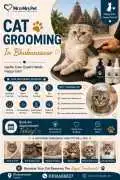 Cat Grooming, Bhubaneswar
