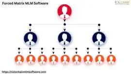 Powerful Forced Matrix MLM Software for Accelerate, Noida