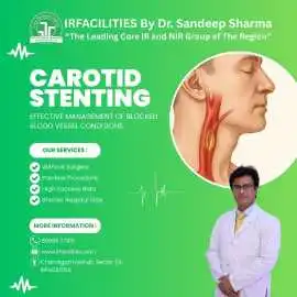 Carotid Stent Treatment | Carotid Artery Disease , Chandigarh