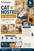 Cat Hostel, Faridabad