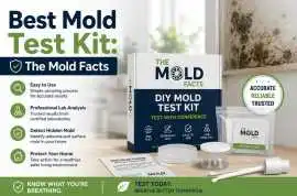 Best Mold Test Kit: How to Choose the Right Soluti, Los Angeles