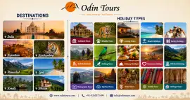 Tiger Safari Central India | Private Wildlife Tour