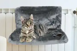 Affordable Wholesale Pet Beds for UK Pound Shops , Manchester