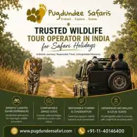 Trusted Wildlife Tour Operator in India for Safari, Gurgaon