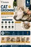 Cat Grooming, Faridabad