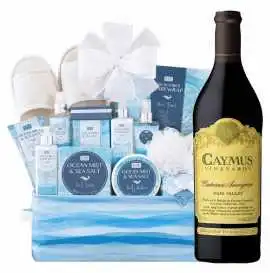 Luxury Wine and Spa Gift Basket for Every Occasion, Los Alamitos
