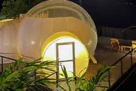 Best 5 Star Resort Munnar | Top 5 Resorts in Munna, Munnar