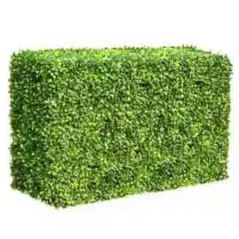 Get Low-Maintenance Privacy with an Artificial Pla, Melbourne