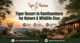Tiger Resort in Ranthambore for Nature & Wildlife 