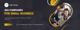 Best SEO Companies for Small Business, Noida