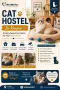 Cat Hostel, Kanpur