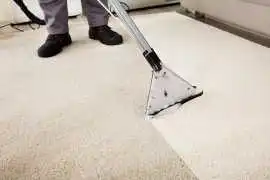 Carpet Cleaning DFW | Serving Fort Worth, Arlingto, McKinney