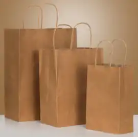 Premium Paper Bags for Shopping in Canada, $ 1