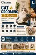 Cat Grooming, Kanpur