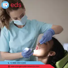 Emergency Dental Service in Tampa FL 33611 - EDS, Tampa