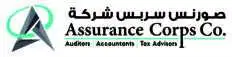 Assurance Corps Co. /Auditor/Accountants/Tax, Dubai