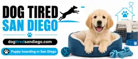 Find Trusted Puppy Boarding in San Diego Near You, San Diego