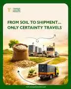 High-Quality Export of Basmati Rice from India, Bengaluru