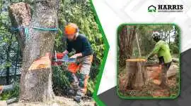Complete Tree Removal & Land Clearing Services, Hammonton